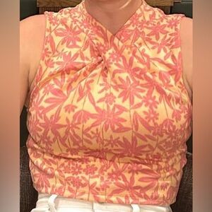 Zara Cross-over Crop Top